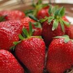6 Ways to Get Rid of Fruit Flies