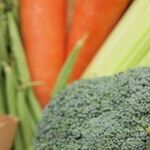 Keep that Garden Growing in the Fridge Plus More Great Reader Tips
