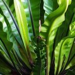 Going on Vacation? Make Your Own Plant Nanny, Plus More Great Reader Tips