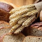 Bake Bread, Save Dough: Basics for 5-Minutes-a-Day Bread Bakers