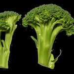 6 Ways to Outsmart Picky Eaters