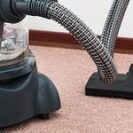How to Stop Hating Your Carpet