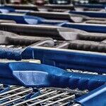 Even Small Households Can Save Big at Warehouse Clubs