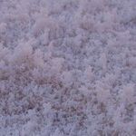 Surprising Ways Epsom Salt Can Improve Your Life