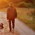 How to Cut Your Pet Expenses in Half