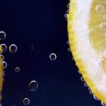 8 Surprising Ways Lemons Can Make Your Life Easier
