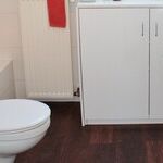 How to Get Rid of the Dreaded Toilet Bowl Ring