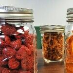 8 Surprisingly Useful Ways to Use a FoodSaver