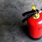 The Proper Care and Feeding of the 1 Thing Every Home Must Have