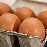 How to Track Investments, Rescue Shoes, Hack a Care Label and Know Your Eggs