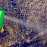 How to Make Nontoxic Natural Pest Control