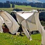 QA: Laundering Big Items, Where to Sell Books, When to Cancel Term Life Insurance and More