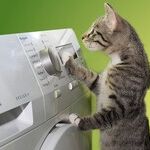 How to Stop Drying Your Clothes to Death