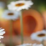 8 Little Words That Can Change Your Life