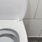 How to Unclog a Toilet -- Quick and Easy!