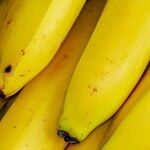 When It Comes to Storing Bananas, Don't Believe Old Wives' Tales