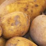 Ask Me Anything: Credit Reports, Storing Potatoes, Deadbeat Relatives