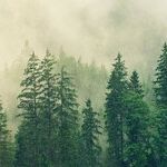 12 Ways to Simplify Your Life