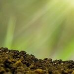 How Getting Through Hard Times Makes Us Stronger