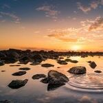 What to Do While You Wait for Things to Return to Normal