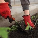 4 Recipes for Homemade DIY Lawn and Garden Fertilizer