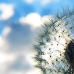 8 Things You Can Do to Survive Tough Times
