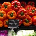 4 Breakthrough Secrets to Cut Your Grocery Bill in Half Now