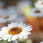 3 Easy Steps to Curb the Disease to Please