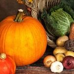 Let's Make Every Day Thanksgiving!