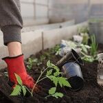 5 Extreme Lawn, Patio and Garden Cost-cutters