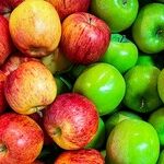 A Guide to Storing Apples at Home Fresh and Delicious