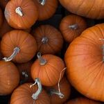 How to Make Pumpkin Puree From Scratch (Better and Cheaper Than Canned)