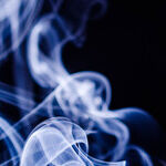Pets Can be Allergic to Tobacco Smoke