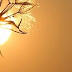 All People Can Suffer Sun Damage