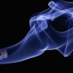 Statistics On Smoking
