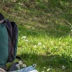 Why Do Teens Run Away?
