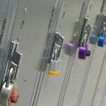 A Student's Locker Can Be Searched