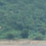 Are Athletics Unladylike?