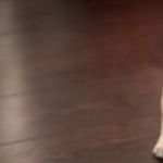 Help -- Annoying Puppy!