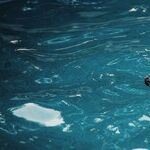 Swimming Is Great Exercise