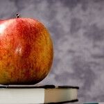 Shocked Parents Wish to Learn and Reconnect