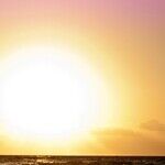 Happiness Can Be Actively Sought Out!