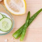 Can Acne Be Cured or Avoided?