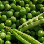 Forced Food Consumption Is Not Prudent