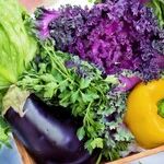 Reducing the Risk of Cancer