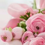 Tips for a Successful Relationship