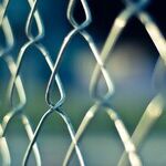 I Won't Ever Visit My Father in Prison