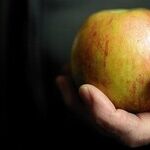 Two Weeks of Fasting Is Not the Answer