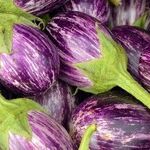 Please, Not Eggplant Again!