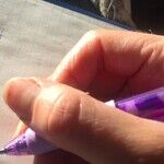 Cursive Writing Is Not Being Taught